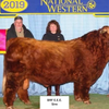 Trafalgar Nobleman (Heifer Sexed & Conventional)