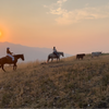 A Cowboy Experience