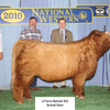 Trafalgar Nobleman (Heifer Sexed & Conventional)